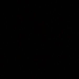 Meet your Posher, Natasha